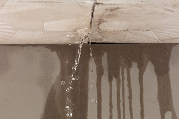 Professional Burst Pipe Cleanup technician working in Glade Park, CO